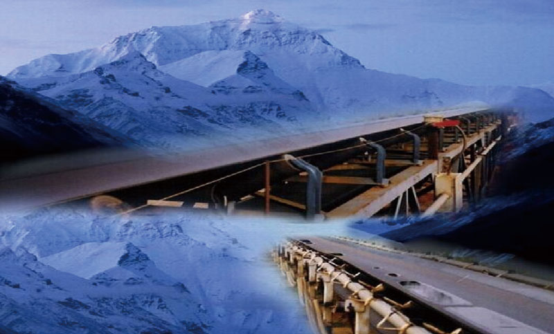 Cold resistant conveyor belt